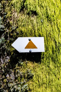 walking trail sign at a tree  in the Vosges region in France on the way to Hoheneck mountain in the forest