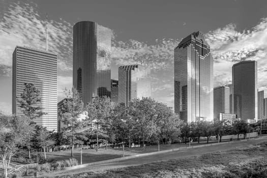 skyline of Houston under cloudy sky with park in foreground