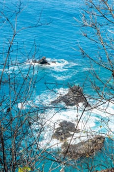 Fernando de Noronha, Brazil. View of Morro dos Dois Irmaos with plants in the foreground.