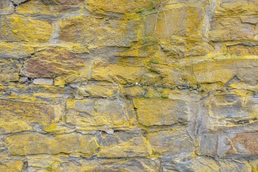 old pattern of nature stones covered with yellow microorganisms or weave fauna growings
