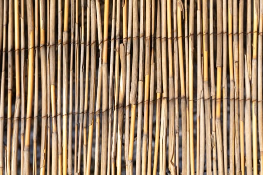 harmonic pattern of bamboo fence background in bright light