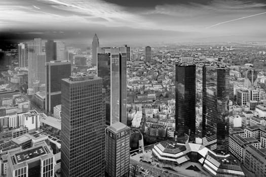 scenic aerial view to skyline of Frankfurt with skyscraper in dawn