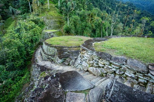 Hidden ancient ruins of Tayrona civilization Ciudad Perdida in the heart of the Colombian jungle Lost city of Teyuna. Santa Marta, Sierra Nevada mountains, Colombia wilderness