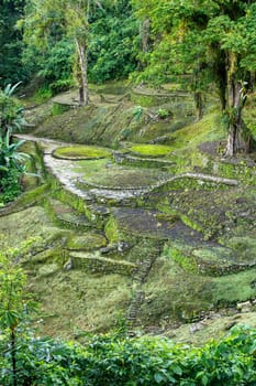 Hidden ancient ruins of Tayrona civilization Ciudad Perdida in the heart of the Colombian jungle Lost city of Teyuna. Santa Marta, Sierra Nevada mountains, Colombia wilderness