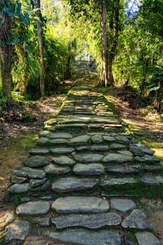 Queens main stone stairs in hidden ancient ruins of Tayrona civilization Ciudad Perdida in heart of the Colombian jungle Lost city of Teyuna. Santa Marta, Sierra Nevada mountains, Colombia wilderness