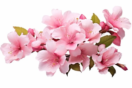 Dreamy Pink flowers transparent. Botanical nature. Generate Ai