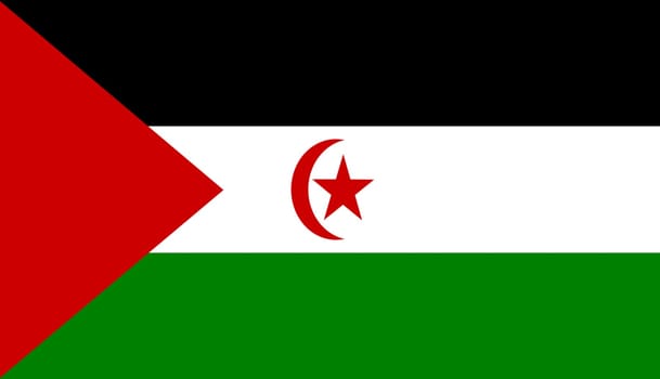 Flag of Western Sahara. flag of Sahrawi Arab Democratic Republic on fabric surface. Fabric texture. National symbol of Sahara on patterned background. African country. 3D illustration.