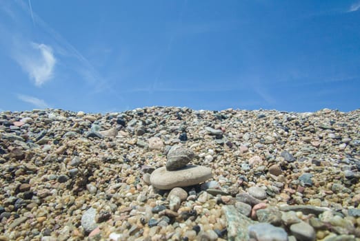 Small mediterranean sea snail, known as Steromphala divaricata. Placed on pea gravel beach