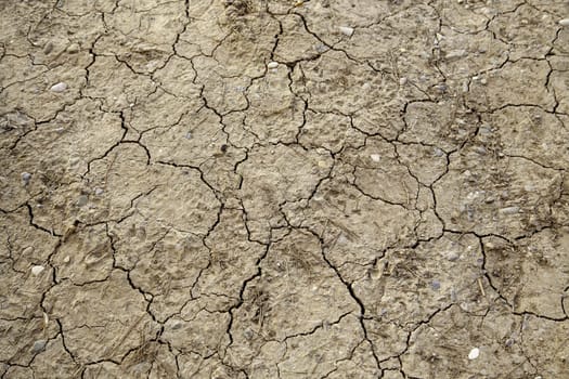 Detail of climate change and environmental destruction