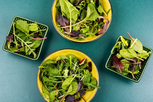 Vegetarian salad of fresh spring greens and herbs on a plate. Flat lay.
