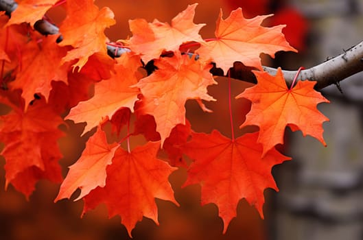 Translucent Maple leaves autumn. Nature tree. Generate Ai