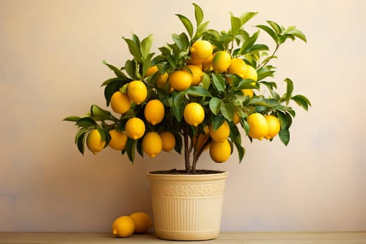 Fragrant Potted lemon tree. Agriculture plant. Generate Ai