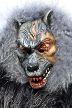 Theme picture - Carnival Carnival  The fools are on the loose at the Alemannic-Swabian Carnival. Like here in Hartheim am Rhein,the jesters parade through the streets.