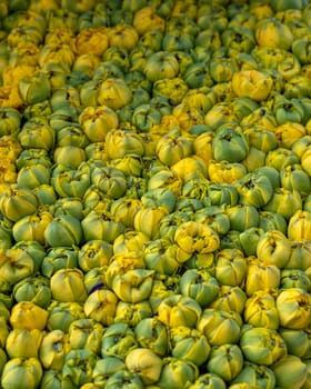 Floristic composition with yellow tulip buds