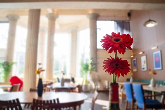 Retro romantic cafe and restaurant decoration, stock photo