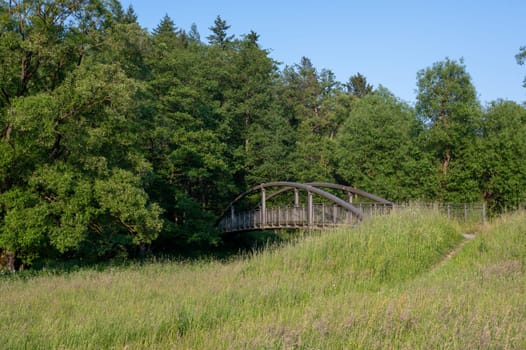 A pedestrian bridge over the Eder river in Germany, with green nature