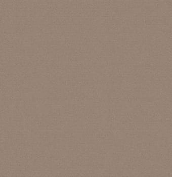 The texture of the background is brown with a rough and embossed surface