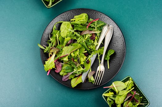 Fresh green mix of different salad leaves. Green food. Top view.