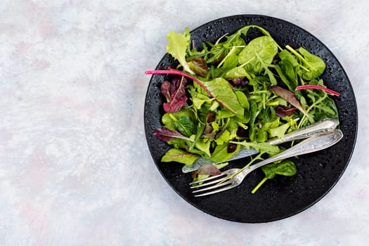 Fresh green mix of different salad leaves. Green food. Top view.