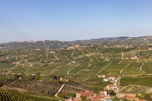 Langhe vineyards near Barolo Unesco Site, Piedmont, Italy