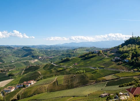 View of Langhe vineyards from La Morra,  UNESCO Site, Piedmont, Italy