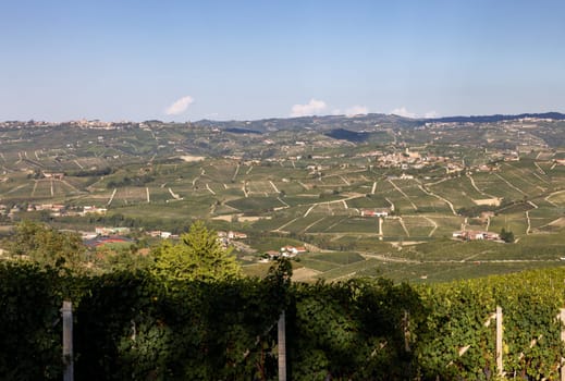 Langhe vineyards near Barolo and La Morra, Unesco Site, Piedmont, Italy