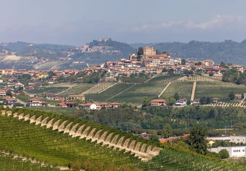 View of Langhe vineyards from Grinzane Cavour. UNESCO Site, Piedmont, Italy