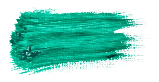 Watercolor brush stroke of green paint on a white isolated background, close up