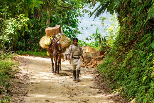 Tayrona, Magdalena, Colombia - September 21 2023: Indigenous Koguis Koguis man transport goodd in the road to Ciudad Perdida, Magdalena, Sierra Nevada de Santa Marta, Colombia