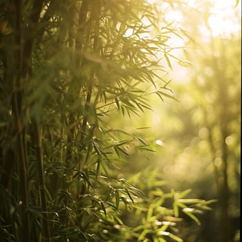 Golden morning light filters through dense bamboo foliage, creating a tranquil and fresh ambiance.