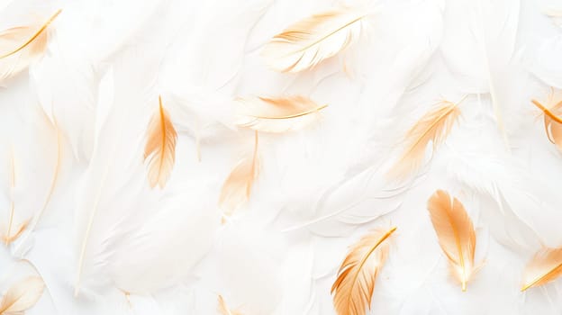 Scattered white feathers with golden accents on a light background.