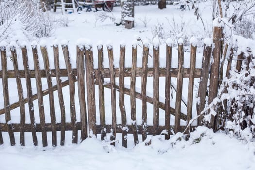 Snow-covered garden fence with garden gate at an allotment garden in winter, Germany