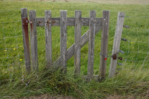Wooden fence gate on a willow fence, Germany