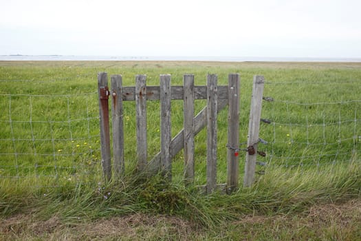 Wooden fence gate on a willow fence, Germany