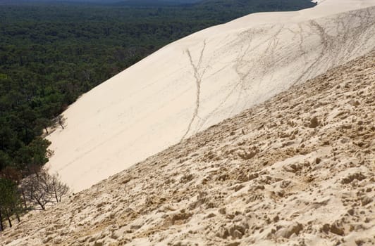 The Famous dune of Pyla, the highest sand dune in Europe, in Pyla Sur Mer, Arcachon, France.