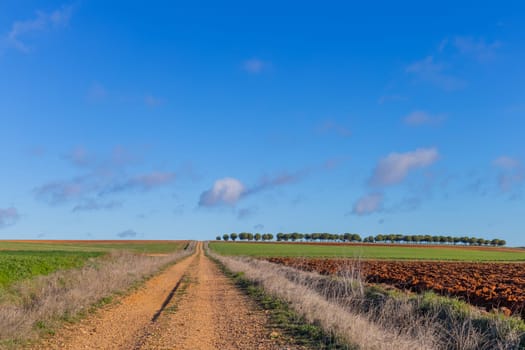 Andalucia, Camino De Santiago, the Way of St. James pilgrimage route, Extremadura, Spain.