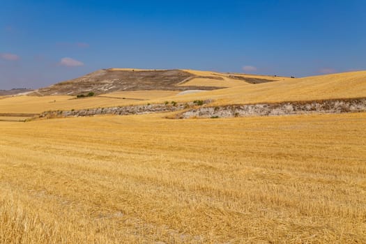 view of a crop field in the north of Spain