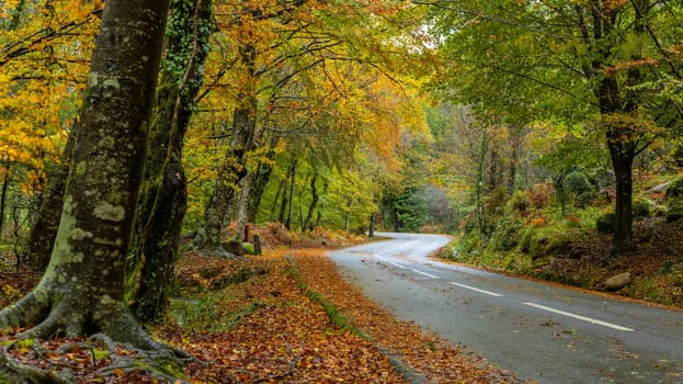 Autumn landscape at Geres National Park, Portugal