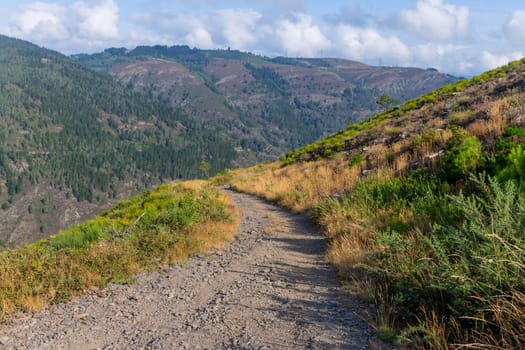 Landscape along the Camino de Santiago trail between Grandas de Salime and Fonsagrada, Asturias, Spain