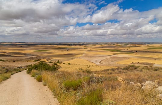 Rural road in the Spanish countryside among agricultural fields, after wheat harvest season. Navarra, Spain