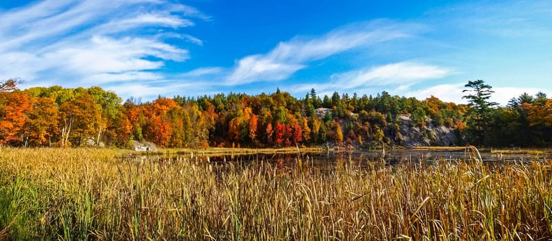 Autumn on the shore of Lake Huron, a beautiful autumn landscape.