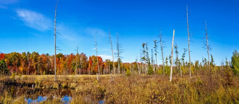 Autumn on the shore of Lake Huron, a beautiful autumn landscape.