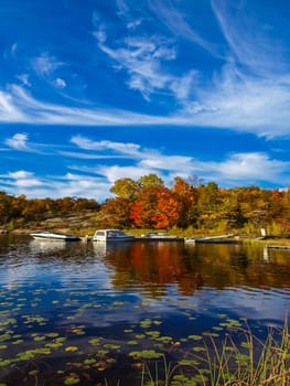 Autumn on the shore of Lake Huron, a beautiful autumn landscape.