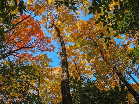 Autumn on the shore of Lake Huron, a beautiful autumn landscape.