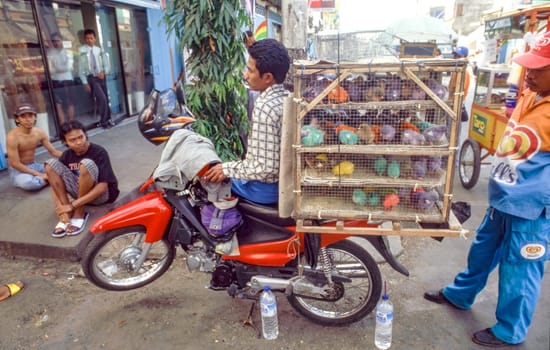 Bali, Indonesia - November 14, 2004: young man with motorbike sells painted birds in yellow, blue and green to young people.