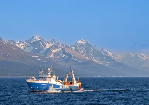 Lofoten, Norway - July 8, 2009: fishing trawler on the way catching fishes in Norway with snow capped mountains in background.