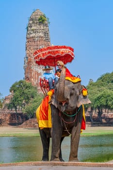Ayutthaya, Thailand - December 24, 2009:  tourists ride on an elephant in the Historical Park in Ajutthaya, Thailand. It is called a must in Ayutthaya and costs about 1000 BATH for 30 min.