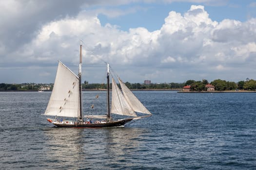 New York, USA - July 9, 2010: historic old sailing boat pioneer cruises at Ellis island in New York at river Hudson.