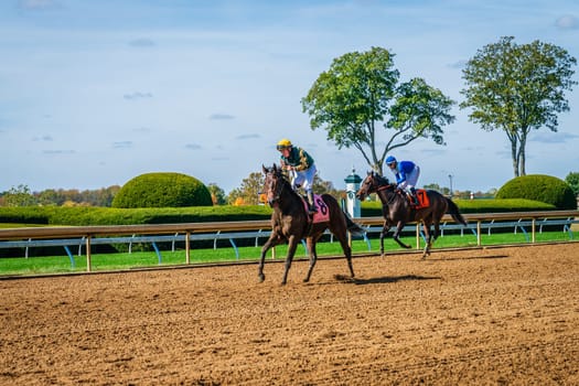 Keeneland, Lexington, Kentucky, October 18, 2023: Keenealand Fall Race Meet event, horses are coming back after finishing Race 1