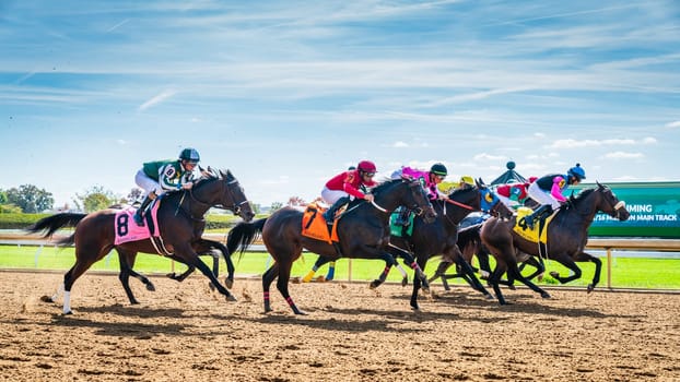 Keeneland, Lexington, Kentucky, October 18, 2023: Keenealand Fall Race Meet event, start of Race 4